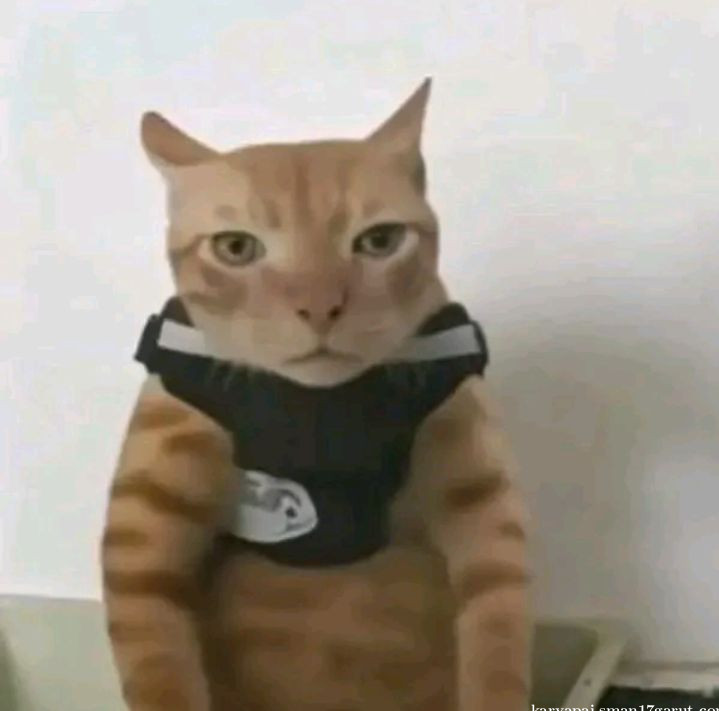 Didikan Orang Tua yang Membentuk Aku Jadi Pribadi Mandiri